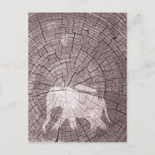 Urban Elephant Vykort