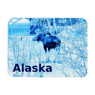 Urban Moose Magnet