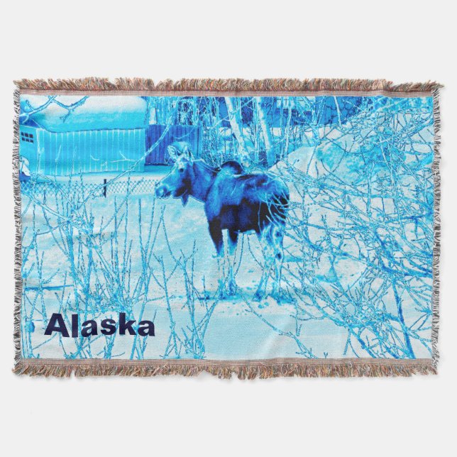 Urban Moose Mysfilt (Framsidan)