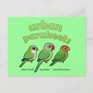 Urban Parakeets Vykort