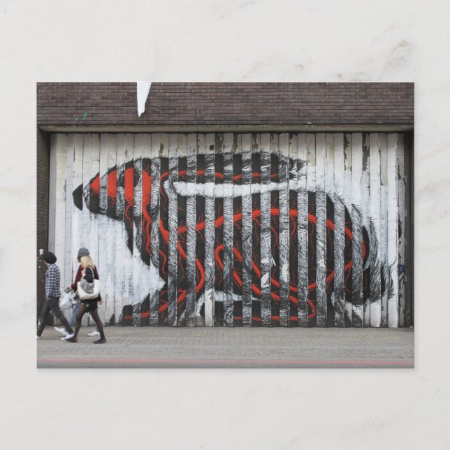 Urban Rabbit Vykort (Framsida)