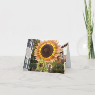 Urban trädgårdar Notecard Kort