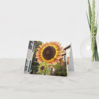Urban trädgårdar Notecard Kort