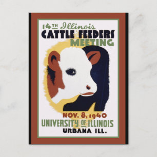 Urbana Illnois Cattle Matande Poster Vykort