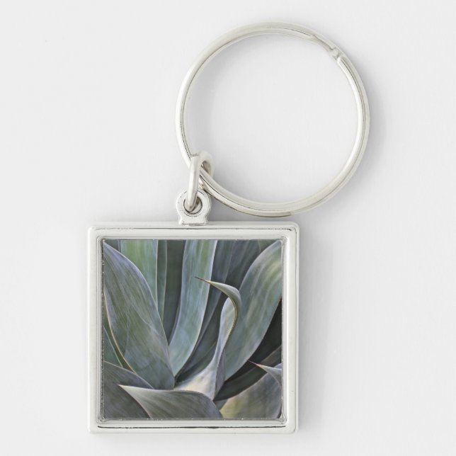 Urblekta Succulant specificerar, 2017 Fyrkantig Silverfärgad Nyckelring (Framsidan)