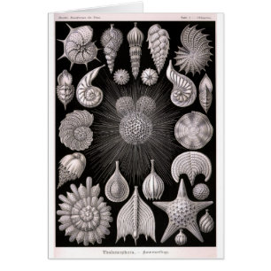 Urdjur för THALAMOPHORA Kammerlinge Hälsningskort