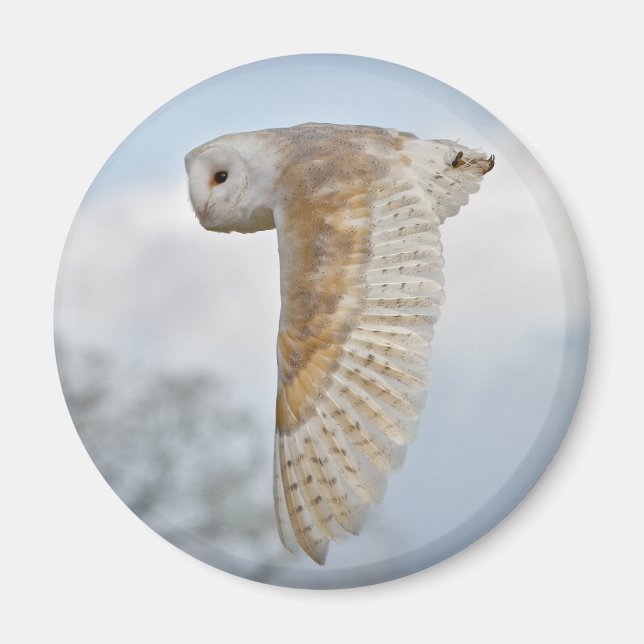 Urdvärguv i Flykt Magnet (Framsidan)