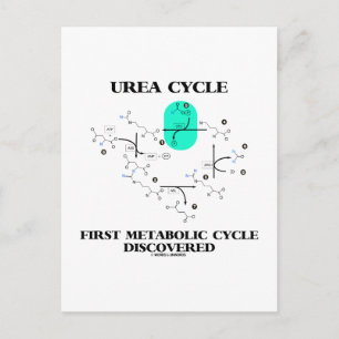 Urea Cycle första metaboliseringscykel upptäcktes Vykort