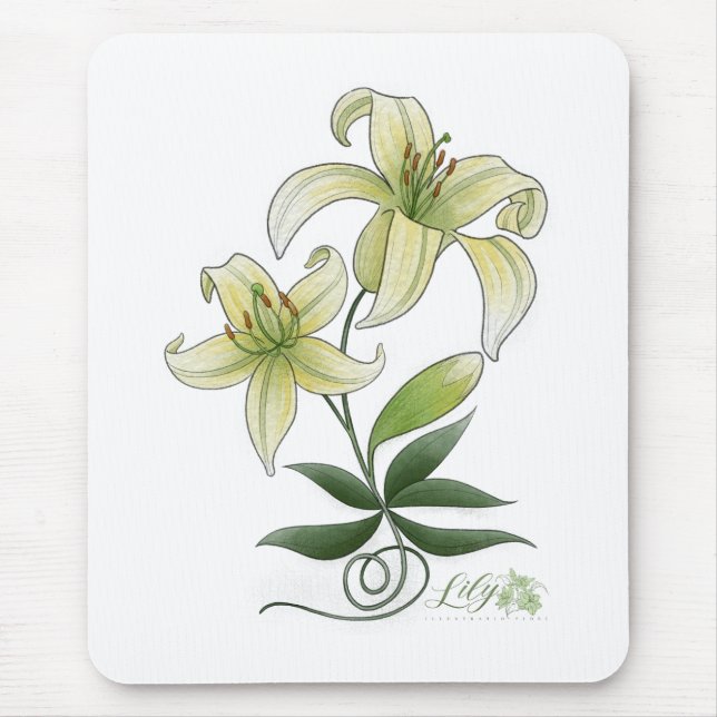 Urklipp Musmatta (Framsidan)