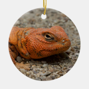 Uromastyx geyri julgransprydnad keramik