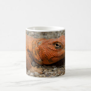 Uromastyx geyri kaffemugg