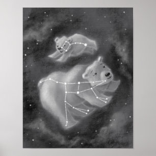 Ursa Major och Ursa Minor Bears Poster