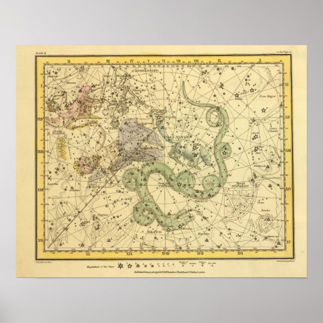 Ursa Minor, Cassiopeia, Tarandus, Cepheus Poster (Framsidan)