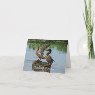 Ursäkta att jag tänker på ditt kort