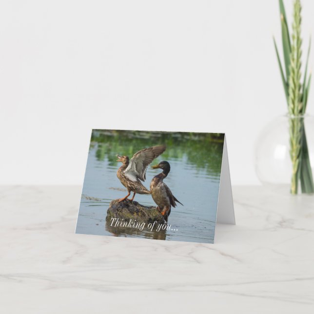 Ursäkta att jag tänker på ditt kort (Framsida)