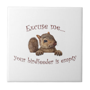 Ursäkta...din fågelmatare är tom kakelplatta