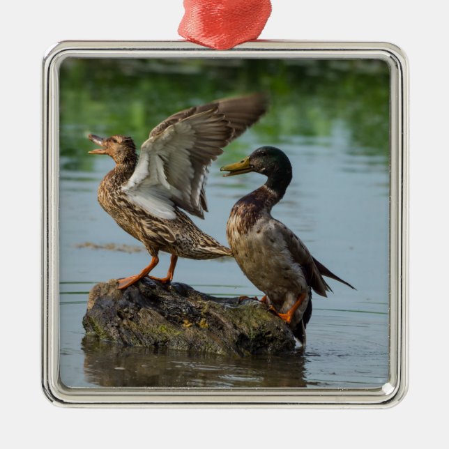 Ursäkta mig julgransprydnad metall (Framsidan)