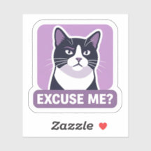 Ursäkta mig? Katt Meme – Sassy Rolig Katt Illustra