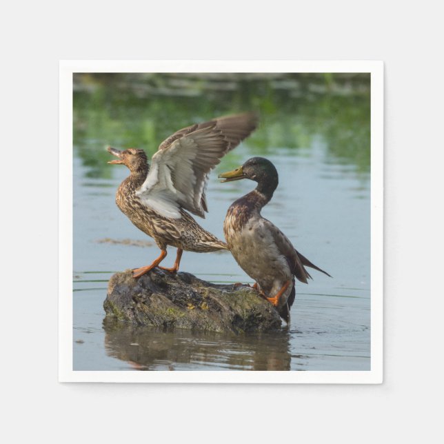 Ursäkta mig pappersservett (Framsidan)