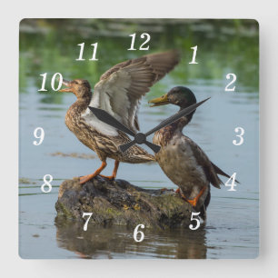 Ursäkta min väggklocka