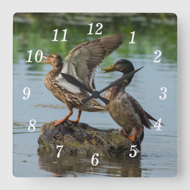 Ursäkta min väggklocka (Framsida)