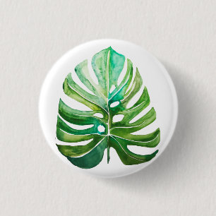 Ursinne på det Monstera löv knäppas Knapp