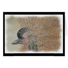 URSNYGG AFRIKANSK KRAN HÄLSNINGSKORT