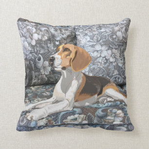 Ursnygg Beaglesitta besegrar Kudde