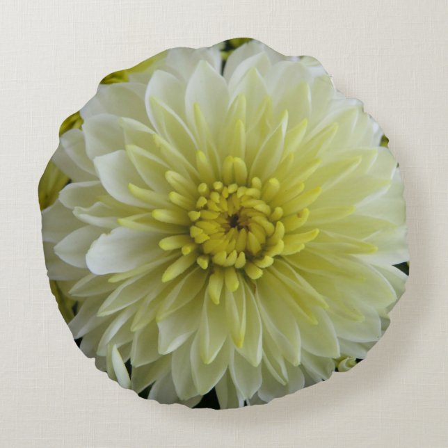 Ursnygg blommarundadekorativ kudde (Baksidan)