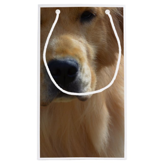 Ursnygg guld- Retriever (Baksidan)