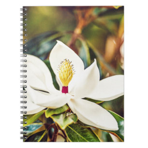 Ursnygg Mississippi Magnolia Anteckningsbok