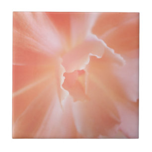 Ursnygg mjuk lax färgad Begonia Kakelplatta