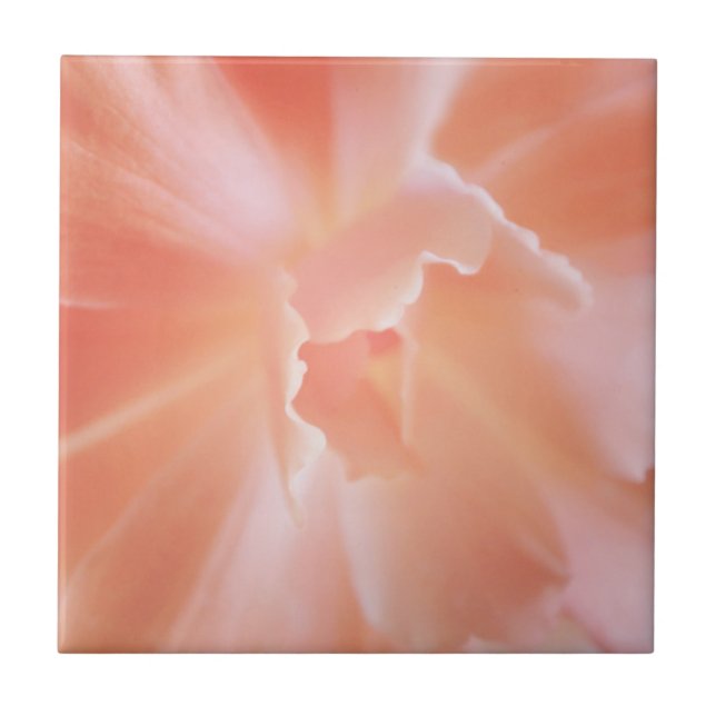 Ursnygg mjuk lax färgad Begonia Kakelplatta (Framsidan)