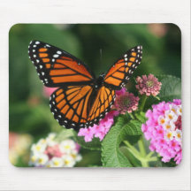 Ursnygg monarkfjärilsdesign