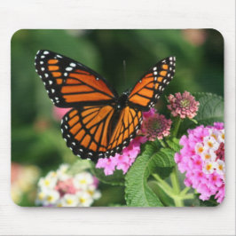 Ursnygg monarkfjärilsdesign musmatta
