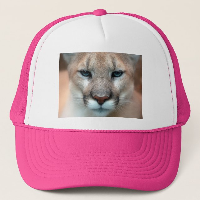 URSNYGG PUMA KEPS (Framsida)