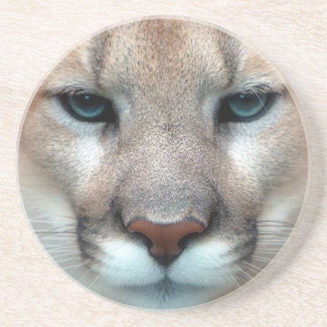URSNYGG PUMA UNDERLÄGG (Framsidan)