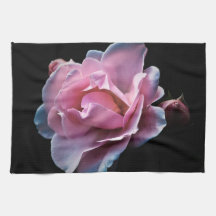 Ursnygg rosa ros på svart