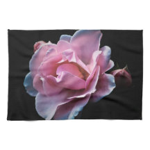 Ursnygg rosa ros på svart