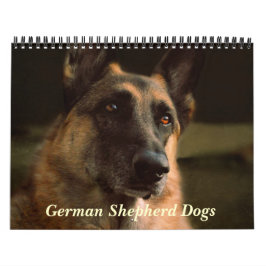 Ursnygg tysk herdehundkalender kalender