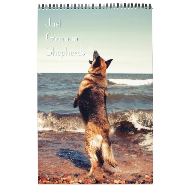 Ursnygg tysk herdekalender kalender (Omslag)