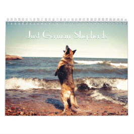 Ursnygg tysk herdekalender kalender