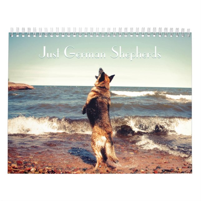 Ursnygg tysk herdekalender kalender (Omslag)