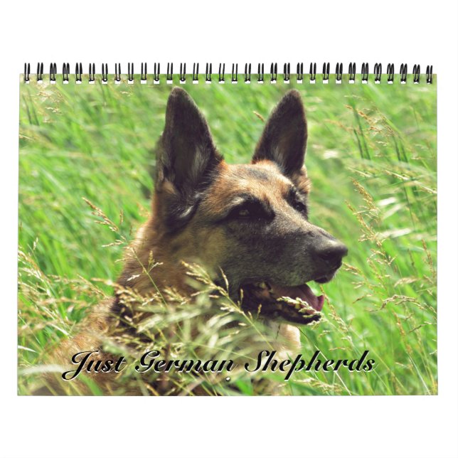 Ursnygg tysk herdekalender kalender (Omslag)