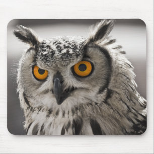 Ursnygg vituggla Mousepad Musmatta