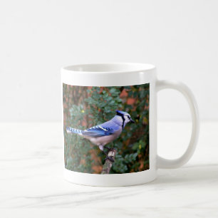 Ursnygga blått Jay Kaffemugg