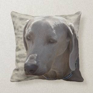 Ursnygga Weimaraner Kudde