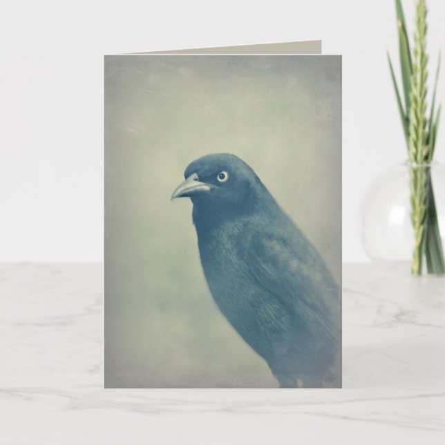 Ursnyggt korpsvart foto kort (Framsida)