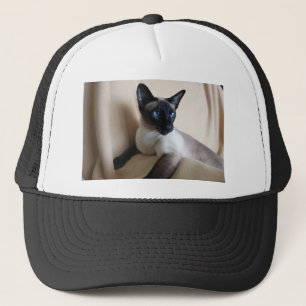 Ursnyggt Siamese kattansikte Keps