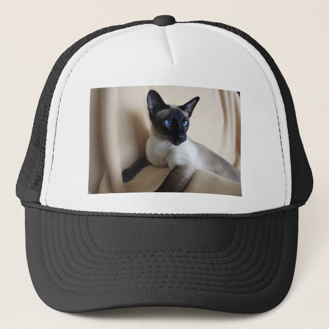 Ursnyggt Siamese kattansikte Keps (Framsida)